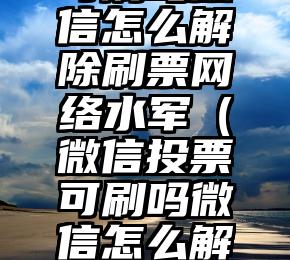 简单的来说下微信投票人工怎么刷票（微信纯人工投票）