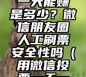 简单的来说下微信投票人工怎么刷票（微信纯人工投票）