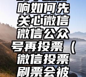 简单的来说下微信投票人工怎么刷票（微信纯人工投票）
