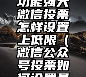 简单的来说下微信投票人工怎么刷票（微信纯人工投票）