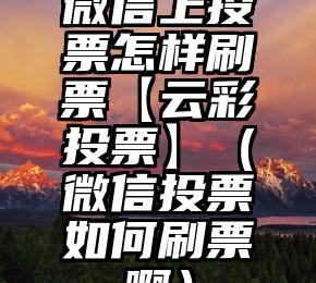 简单的来说下微信投票人工怎么刷票（微信纯人工投票）