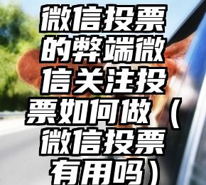 简单的来说下微信投票人工怎么刷票（微信纯人工投票）