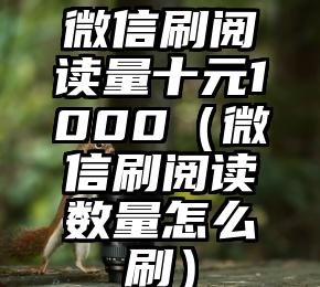 简单的来说下微信投票人工怎么刷票（微信纯人工投票）