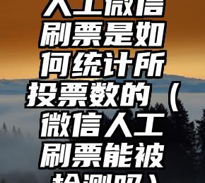 简单的来说下微信投票人工怎么刷票（微信纯人工投票）
