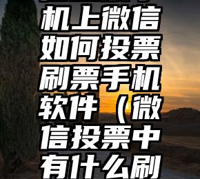 简单的来说下微信投票人工怎么刷票（微信纯人工投票）