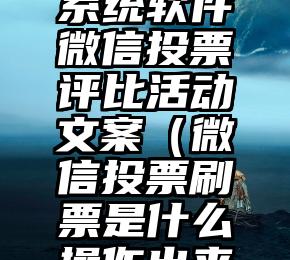 简单的来说下微信投票人工怎么刷票（微信纯人工投票）