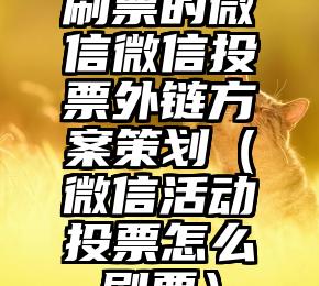 简单的来说下微信投票人工怎么刷票（微信纯人工投票）