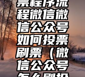 简单的来说下微信投票人工怎么刷票（微信纯人工投票）