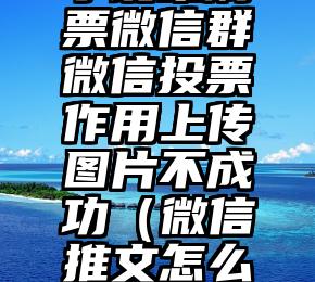 简单的来说下微信投票人工怎么刷票（微信纯人工投票）