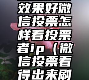 简单的来说下微信投票人工怎么刷票（微信纯人工投票）