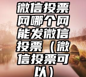 简单的来说下微信投票人工怎么刷票（微信纯人工投票）