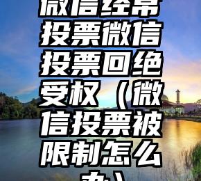 简单的来说下微信投票人工怎么刷票（微信纯人工投票）