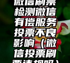 简单的来说下微信投票人工怎么刷票（微信纯人工投票）