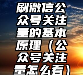 简单的来说下微信投票人工怎么刷票（微信纯人工投票）