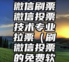 简单的来说下微信投票人工怎么刷票（微信纯人工投票）