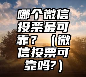 简单的来说下微信投票人工怎么刷票（微信纯人工投票）