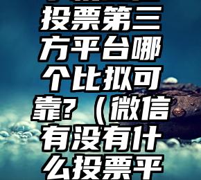 简单的来说下微信投票人工怎么刷票（微信纯人工投票）