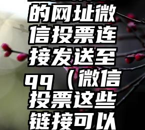 简单的来说下微信投票人工怎么刷票（微信纯人工投票）