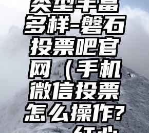 简单的来说下微信投票人工怎么刷票（微信纯人工投票）