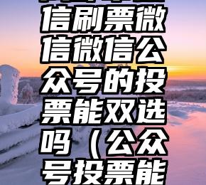 简单的来说下微信投票人工怎么刷票（微信纯人工投票）