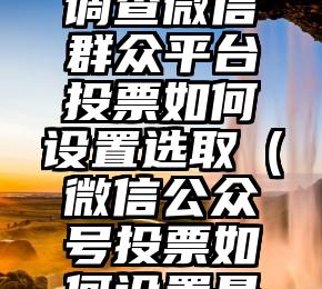 简单的来说下微信投票人工怎么刷票（微信纯人工投票）