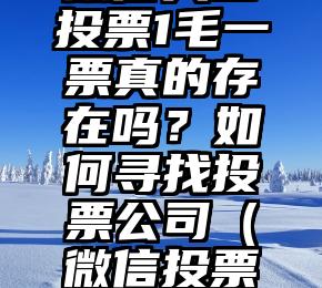 简单的来说下微信投票人工怎么刷票（微信纯人工投票）