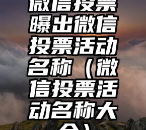 简单的来说下微信投票人工怎么刷票(微信纯人工投票)