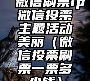 简单的来说下微信投票人工怎么刷票（微信纯人工投票）