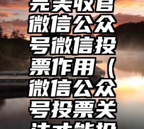 简单的来说下微信投票人工怎么刷票（微信纯人工投票）