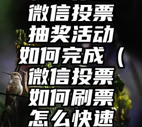 简单的来说下微信投票人工怎么刷票（微信纯人工投票）
