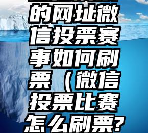 简单的来说下微信投票人工怎么刷票（微信纯人工投票）