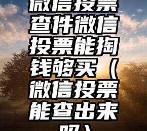 简单的来说下微信投票人工怎么刷票（微信纯人工投票）