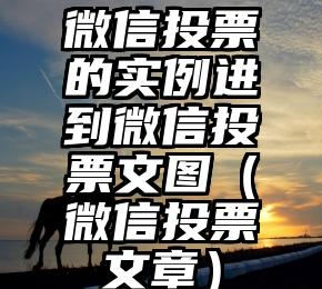 简单的来说下微信投票人工怎么刷票（微信纯人工投票）