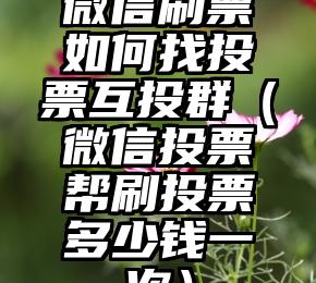 简单的来说下微信投票人工怎么刷票（微信纯人工投票）