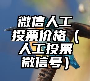 简单的来说下微信投票人工怎么刷票（微信纯人工投票）