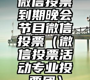 简单的来说下微信投票人工怎么刷票（微信纯人工投票）