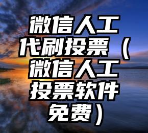 简单的来说下微信投票人工怎么刷票（微信纯人工投票）