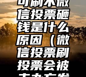 简单的来说下微信投票人工怎么刷票（微信纯人工投票）