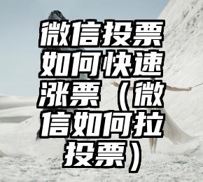 简单的来说下微信投票人工怎么刷票（微信纯人工投票）