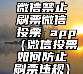 简单的来说下微信投票人工怎么刷票（微信纯人工投票）