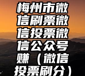 简单的来说下微信投票人工怎么刷票（微信纯人工投票）