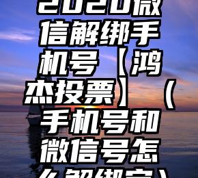 简单的来说下微信投票人工怎么刷票（微信纯人工投票）