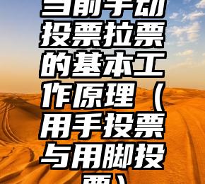 简单的来说下微信投票人工怎么刷票（微信纯人工投票）