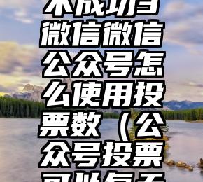 简单的来说下微信投票人工怎么刷票（微信纯人工投票）