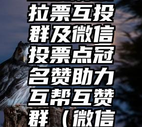 简单的来说下微信投票人工怎么刷票（微信纯人工投票）