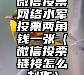 简单的来说下微信投票人工怎么刷票（微信纯人工投票）