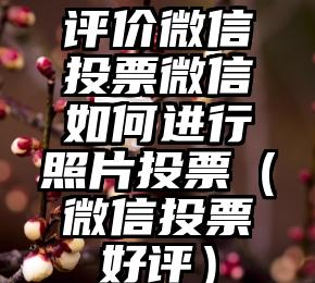 简单的来说下微信投票人工怎么刷票（微信纯人工投票）