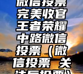 简单的来说下微信投票人工怎么刷票（微信纯人工投票）