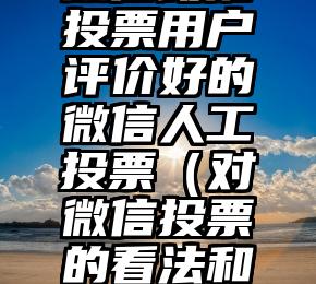 简单的来说下微信投票人工怎么刷票（微信纯人工投票）