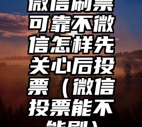 简单的来说下微信投票人工怎么刷票（微信纯人工投票）